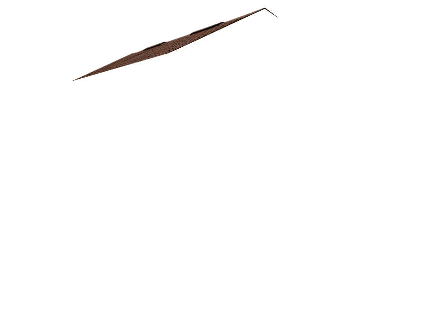 garage with brown roof