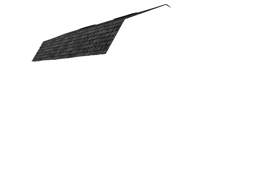 lofted garage with black roof