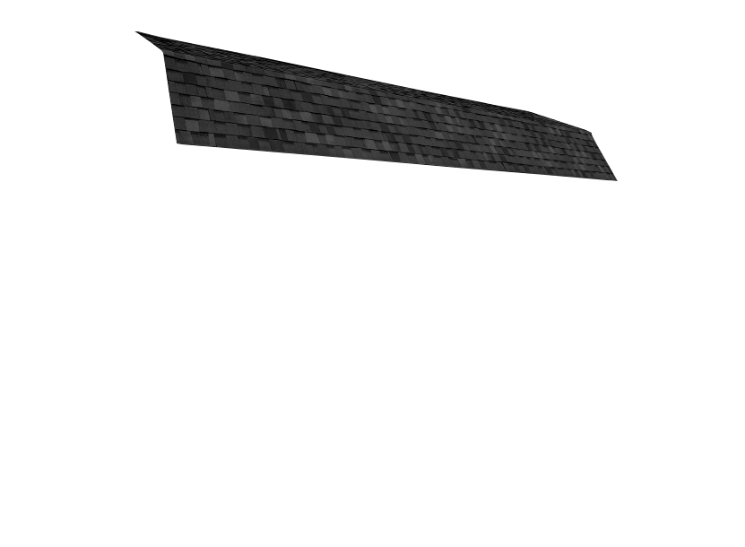 black roof
