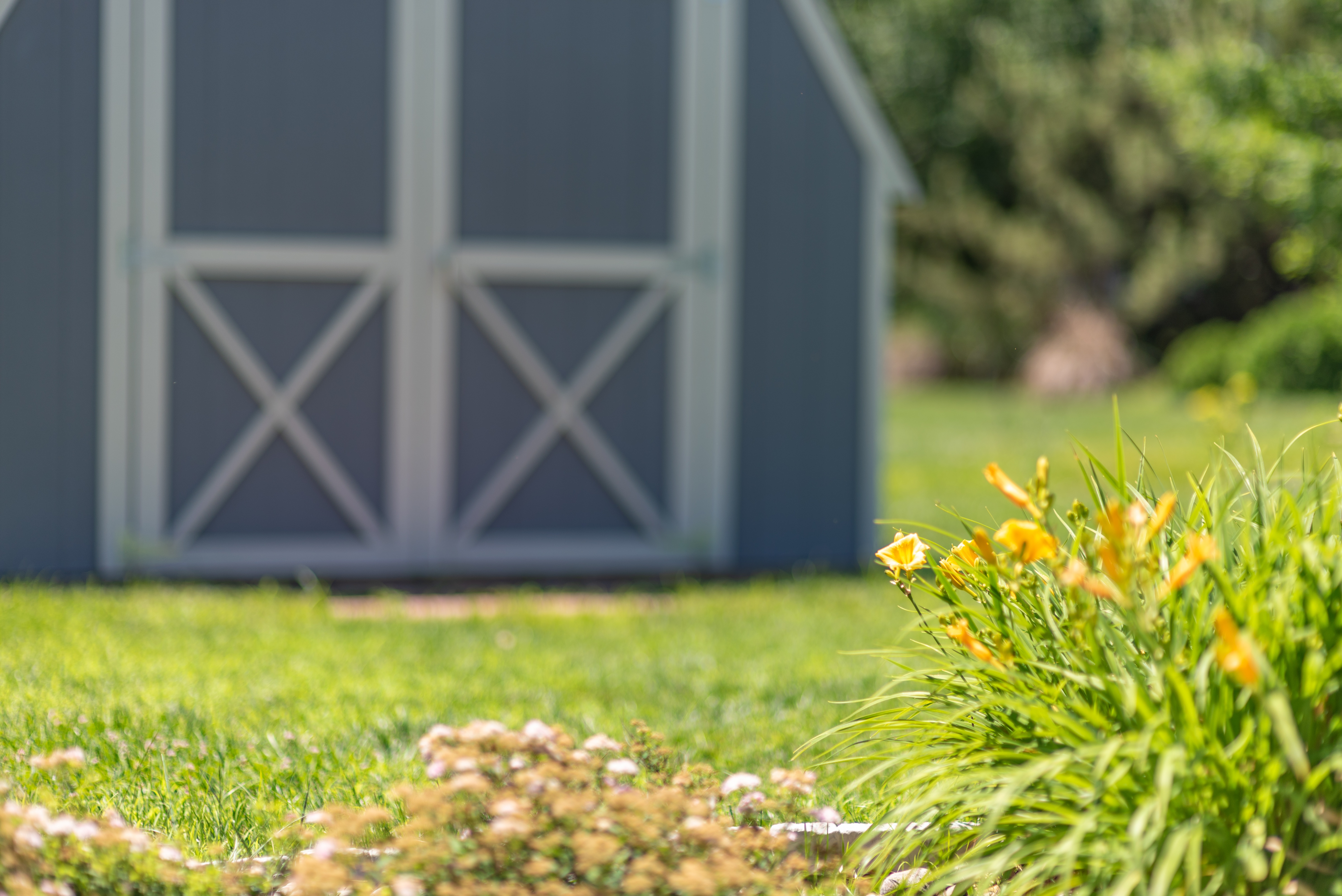 How to Choose a Pre-Owned Shed -- Shed and flowers in yard