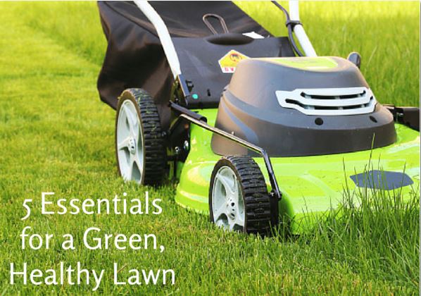 Essentials_for_Green_Healthy_Lawn_Cook_Portable_Warehouses