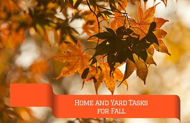 Home_and_Yard_Tasks_for_your_Fall_To-Do_List_Cook_Portable_Warehouses