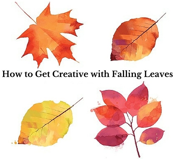 How_to_Get_Creative_with_Falling_Leaves_Cook_Portable_Warehouses