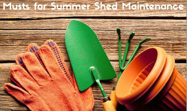Musts_for_Summer_Shed_Maintenance_Cook_Portable_Warehouses