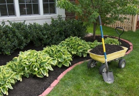 Landscaping Tips 