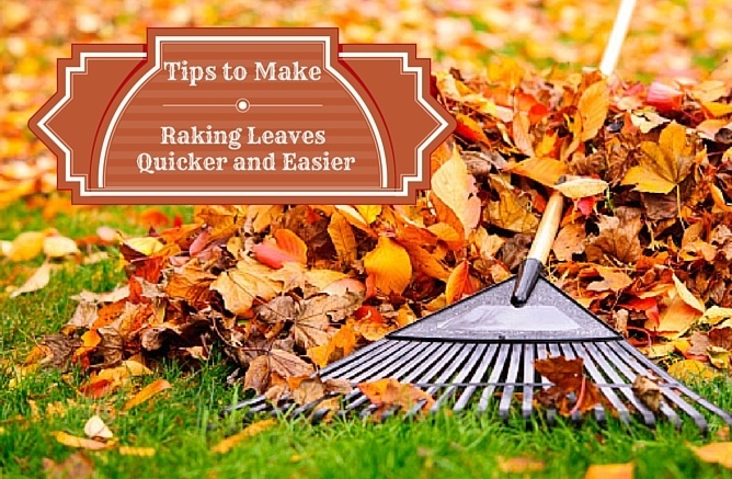 Tips_to_Make_Raking_Quciker_and_Easier_Cook_Portable_Warehouses